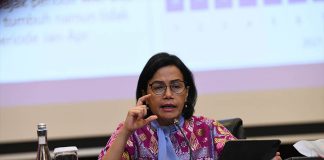 Transisi Ekonomi Rendah Karbon Hadirkan Peluang Sekaligus Tantangan