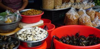 Kuliner Ekstrem di Vietnam, Berani Coba?
