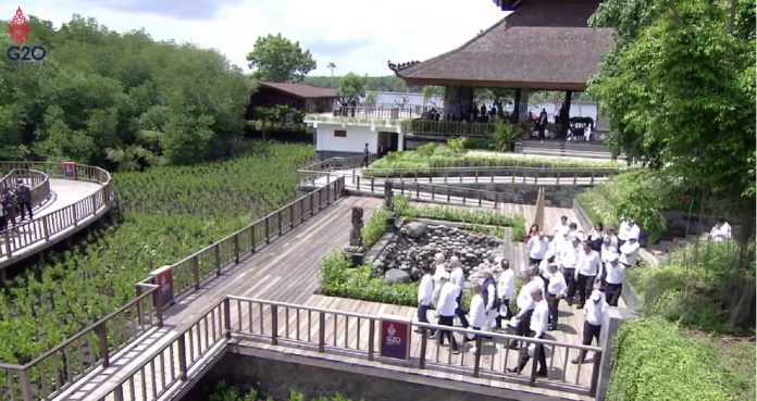 Taman Hutan Raya Bali