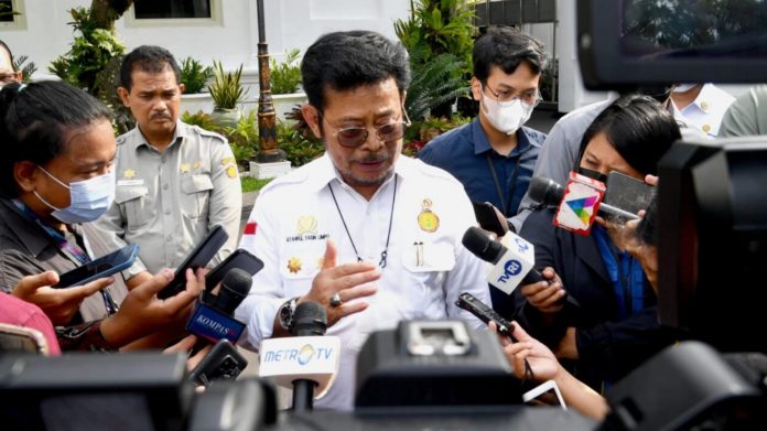 Ketersediaan Beras Nasional