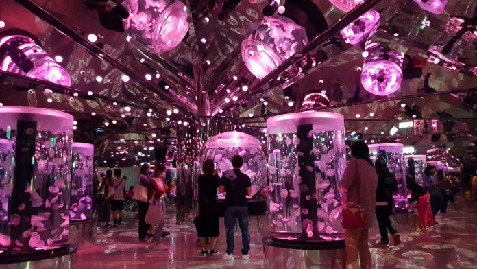 Aquarium Raksasa X Park di Taiwan