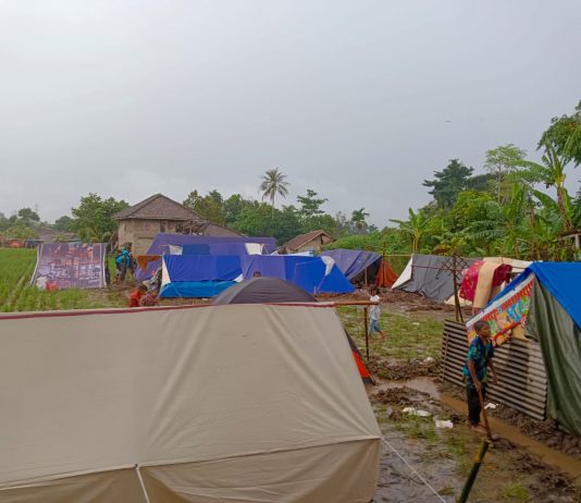 Pasang Tenda di Area Persawahan Korban Gempa Cianjur