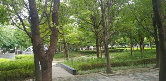 Kebijaksanaan Pemerintah Kota Taipe