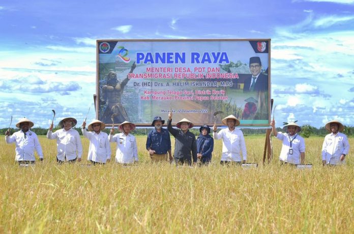 Panen Raya Merauke