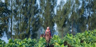 Alokasi DBH CHT Meningkat dari 2% ke 3% Mulai Tahun 2023