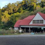 Serunya Berlibur di Flying Cow Ranch Taiwan
