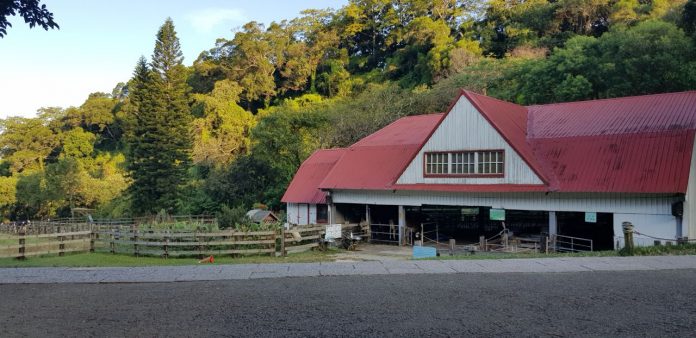 Serunya Berlibur di Flying Cow Ranch Taiwan