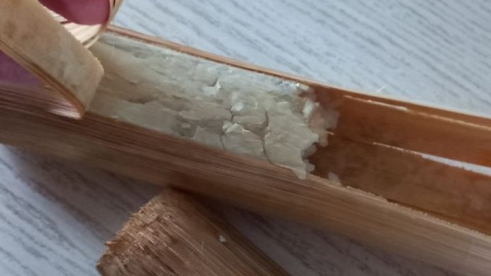 Khao Lam Makanan Khas Laos