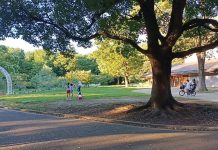 Taman Yoyogi Tempat Wisata di Jepang