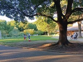 Taman Yoyogi Tempat Wisata di Jepang