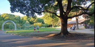 Taman Yoyogi Tempat Wisata di Jepang