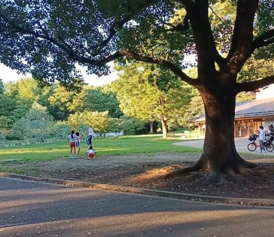 Taman Yoyogi Tempat Wisata di Jepang