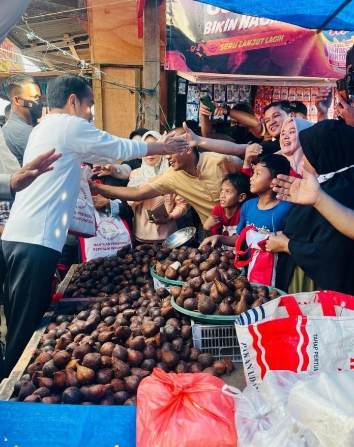 Kunjungan Kerja Presiden