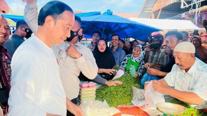 Kunjungan Kerja Presiden