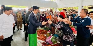 Kunjungan Kerja Presiden