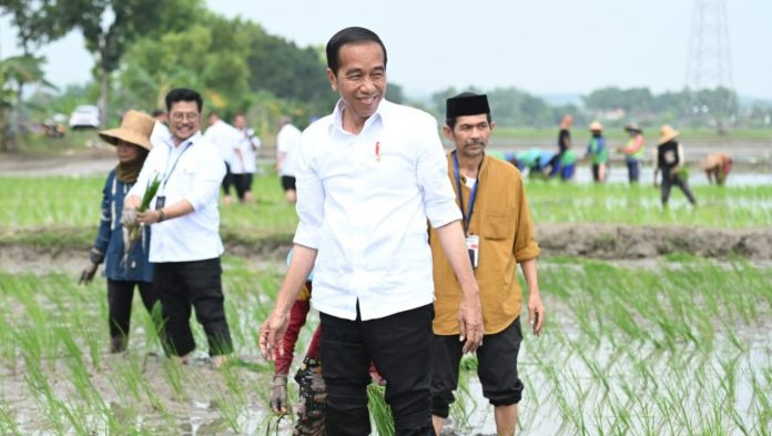 Pupuk Organik