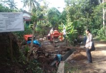 Pendamping Desa