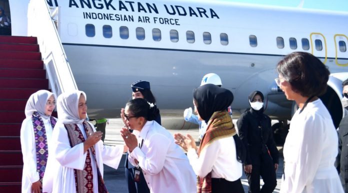 Ibu Iriana Jokowi