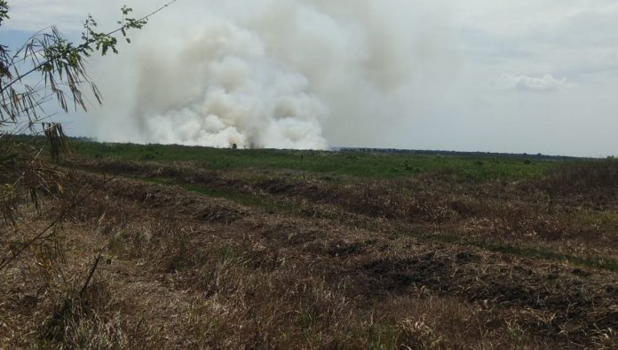 Kebakaran Lahan
