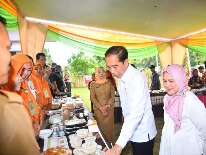 Kunjungan Kerja Presiden