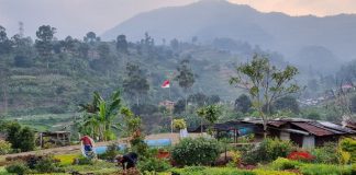 Bendera Merah Putih