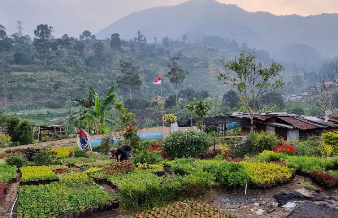 Bendera Merah Putih