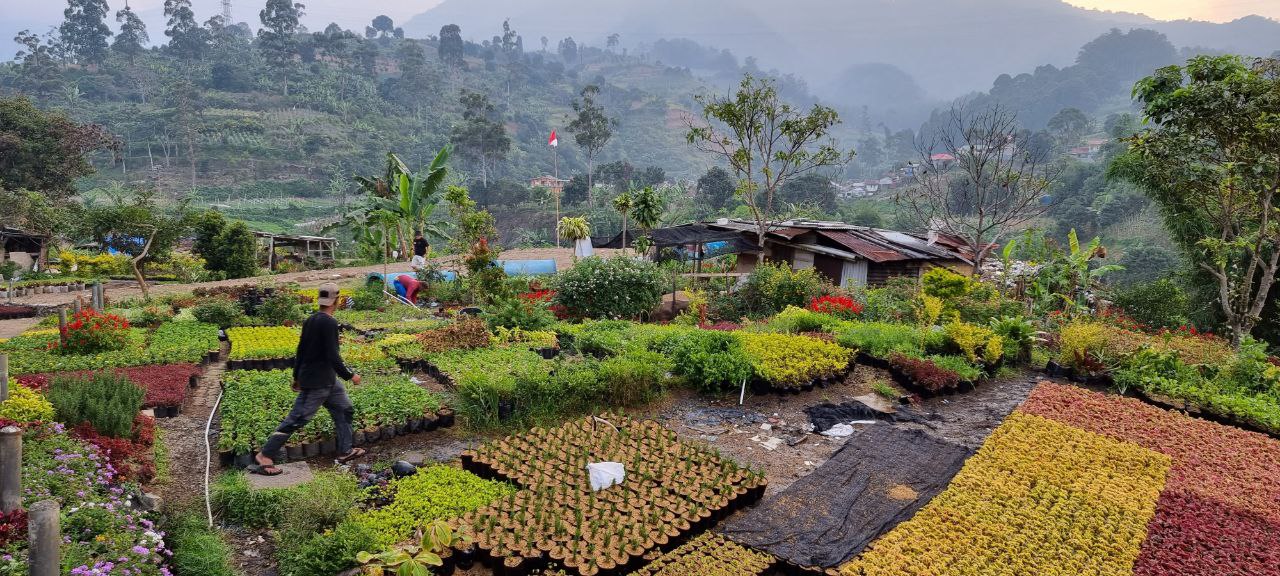Bendera Merah Putih