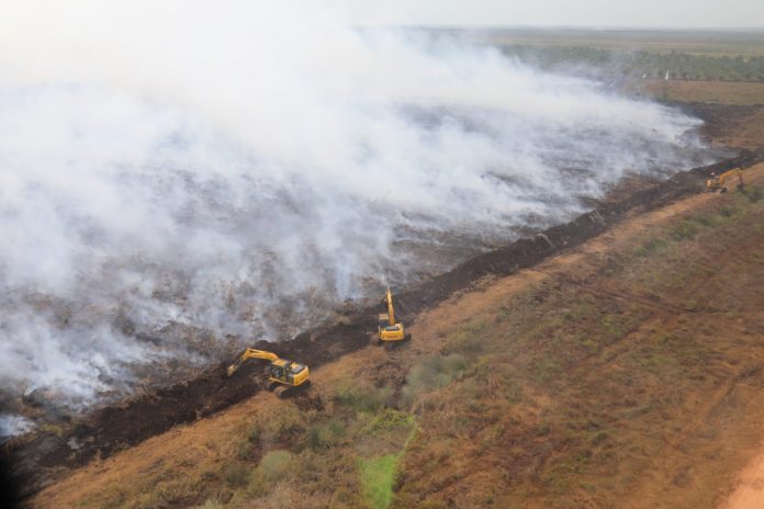 Kebakaran hutan dan lahan