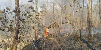 Kebakaran Hutan dan Lahan