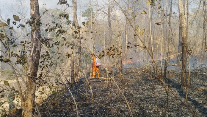 Kebakaran Hutan dan Lahan
