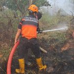 Kabut Asap Indonesia dan Kegagalan Mencegah Kebakaran Berulang Kabut Asap