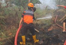 Kabut Asap Indonesia dan Kegagalan Mencegah Kebakaran Berulang Kabut Asap