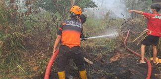 Kabut Asap