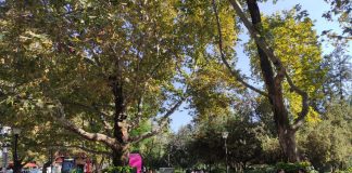 Menikmati Udara Segar di Kugulu Park Cankaya, Ankara