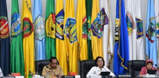 APBN Instrumen Pengelola Berbagai Syok