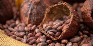 Cokelat