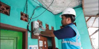 PLN