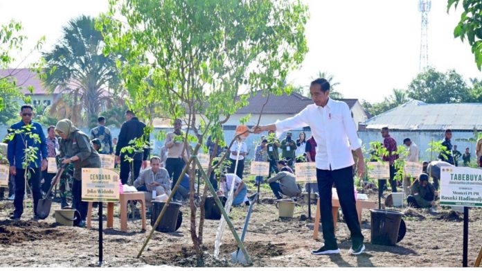 Presiden Joko Widodo bersama masyarakat Kota Kupang melaksanakan kegiatan tanam pohon di lahan terbuka yang berlokasi di Jalan El Tari El Tari