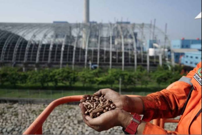pelet biomassa dari kayu pohon kaliandra merah sebagai substitusi batu bara
