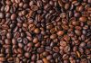 Kopi Jawa Barat Makin Mendunia, Java Halu Coffee Tembus Pasar Inggris Biji Kopi
