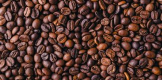 Biji Kopi