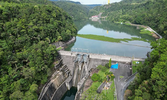 Pogelolaan-plta-azgiihz