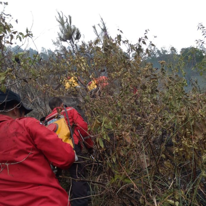 Kebakaran Hutan dan Lahan