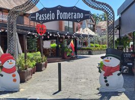 Pomerode Kota Paling Jerman di Brasil DST