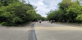 Ayo Menikmati Keindahan Taman Ueno Tokyo