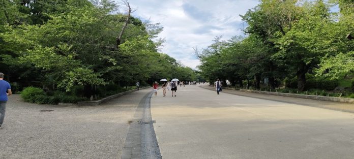 Ayo Menikmati Keindahan Taman Ueno Tokyo