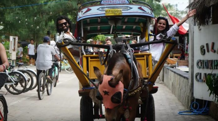 Niche Tourism