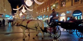 Wisata Naik Kereta Kuda di Stephansplatz Wina