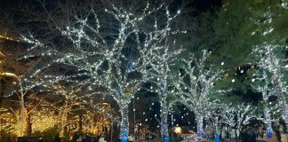 Keindahan Midtown Garden Tokyo Di Malam Hari