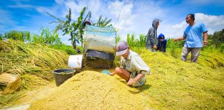 Panen Perekonomian Indonesia